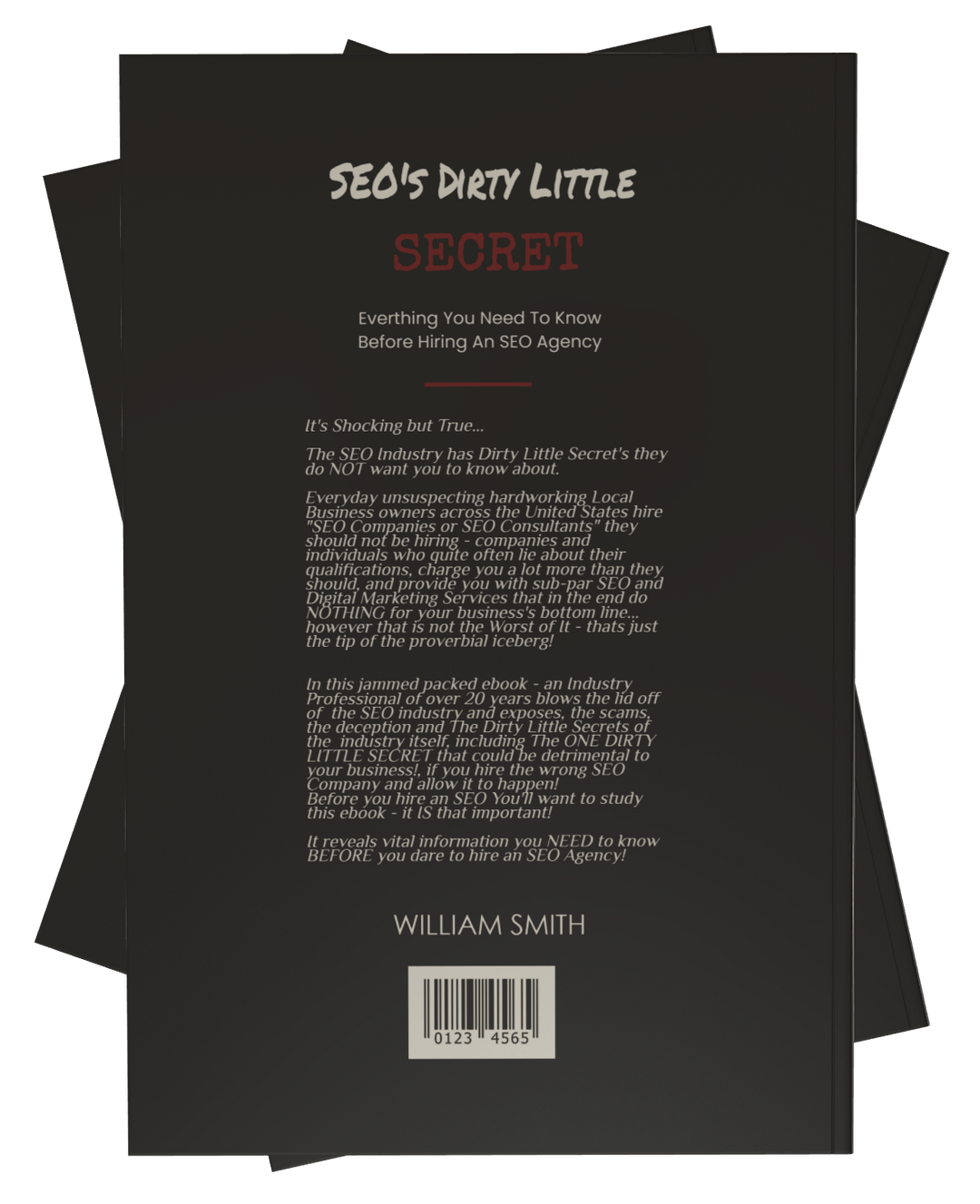 SEO Dirty Little Secrets - Back Cover WS